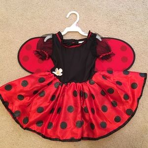 Ladybug Costume size12-24months